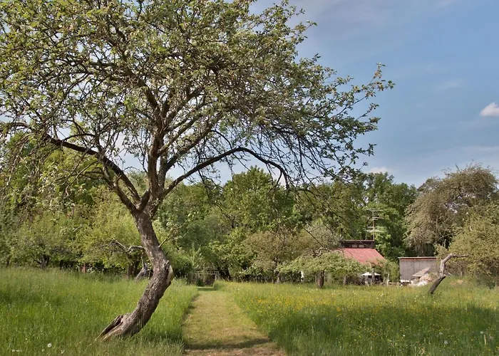 Séjour chez l'habitant Na Samote U Vcelina Lancov