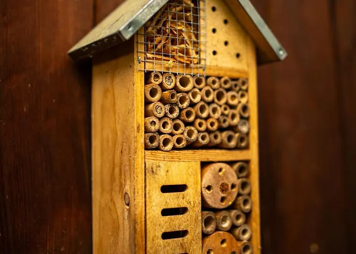 Na Samote U Vcelina Séjour chez l'habitant *